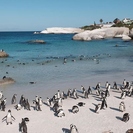Penguin Haven . Luxury 2 Bedroom, Boulders Beach. Κέιπ Τάουν Εξωτερικό φωτογραφία